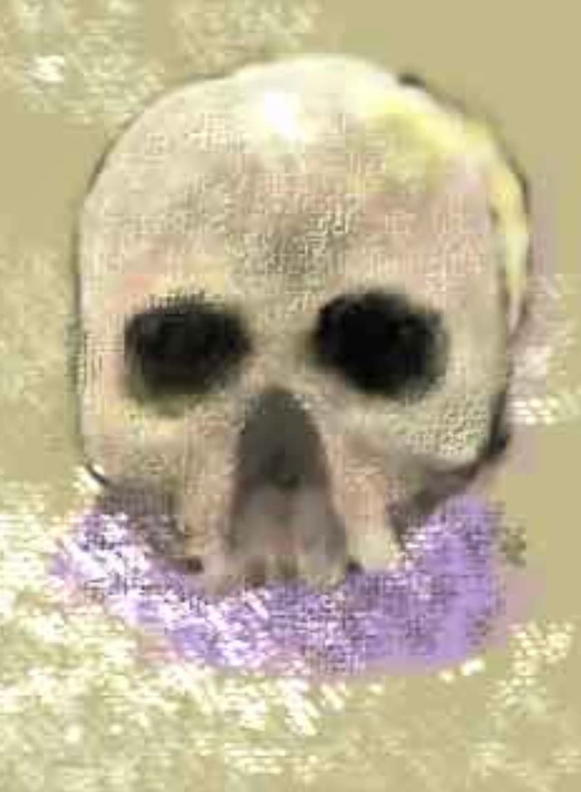 Skull study