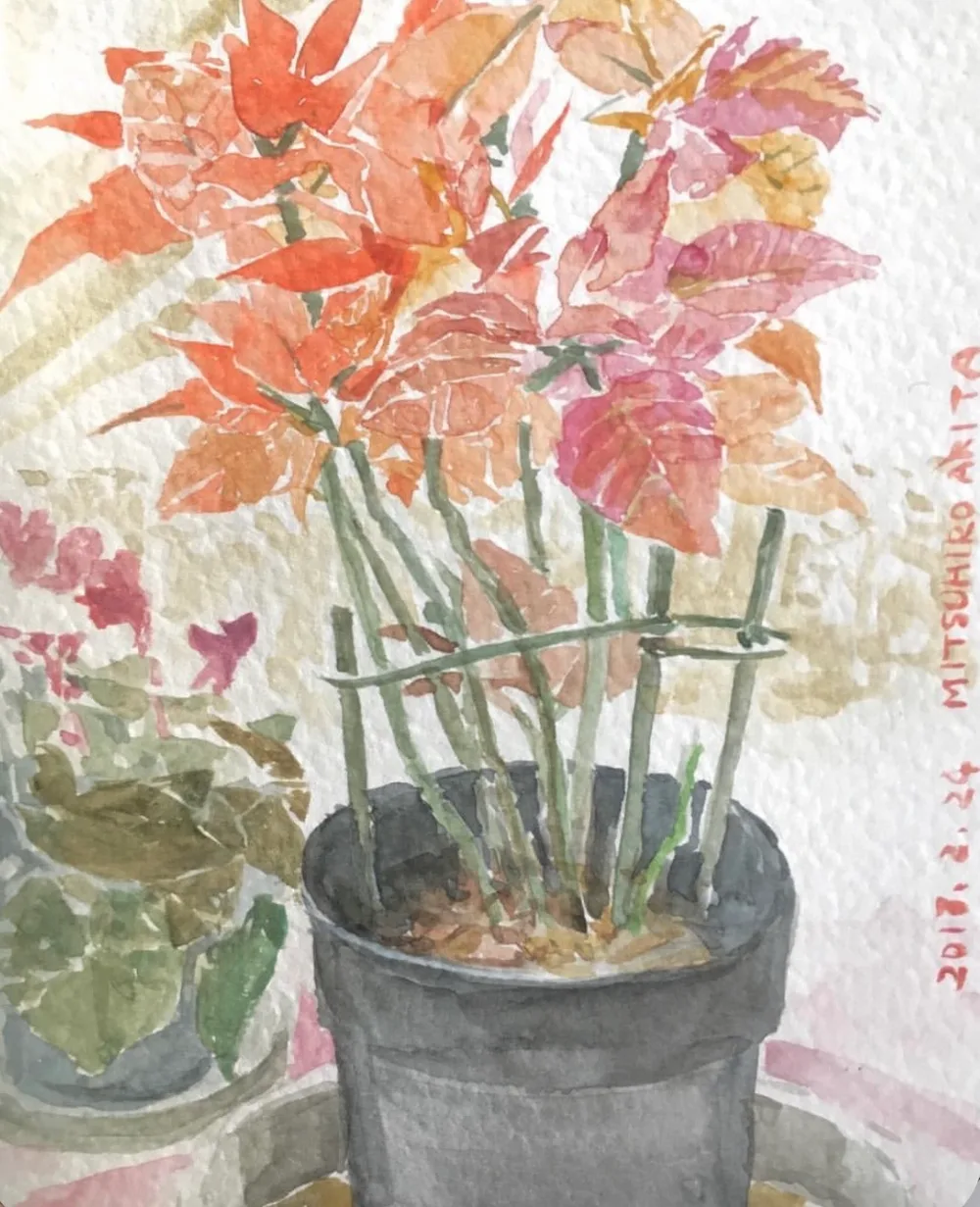 Watercolors